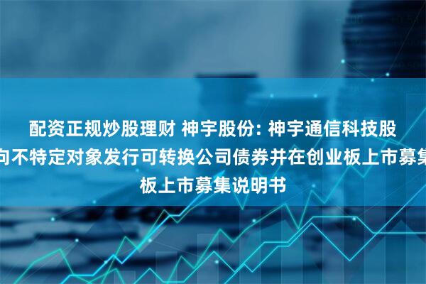 配资正规炒股理财 神宇股份: 神宇通信科技股份公司向不特定对象发行可转换公司债券并在创业板上市募集说明书