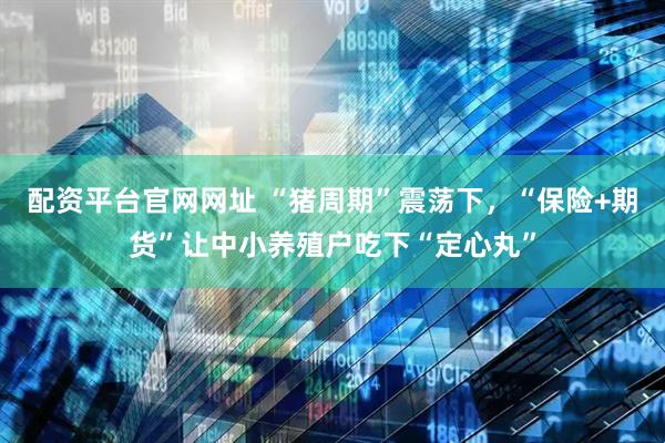配资平台官网网址 “猪周期”震荡下，“保险+期货”让中小养殖户吃下“定心丸”