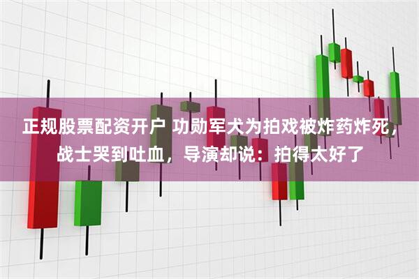 正规股票配资开户 功勋军犬为拍戏被炸药炸死，战士哭到吐血，导演却说：拍得太好了